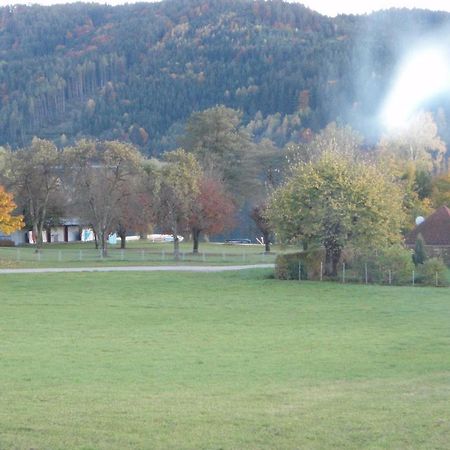 Villa Haus Lichtblick Seeboden am Millstätter See Exterior foto